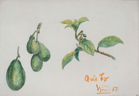 Ảnh của Tĩnh Vật Quả