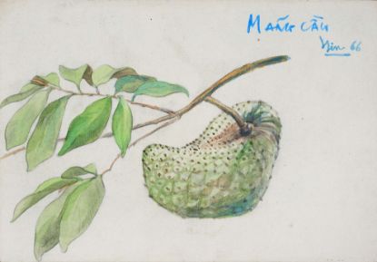 Ảnh của Tĩnh Vật Quả
