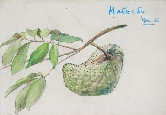 Ảnh của Tĩnh Vật Quả